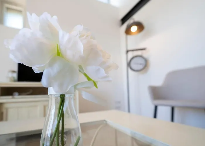 La Tiboire Cote Demeure - Calme & Raffinement